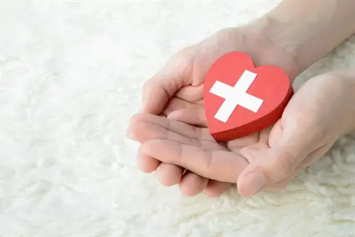 CVD away from Your Family Cardiovascular Diseases Away from Your Family